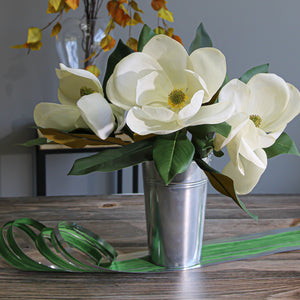 Variegated Aspidistra Leaf 4" Ribbon Green & Silver