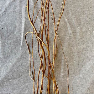 Curly Willow Tree Branch Bundle, 3-4 Feet