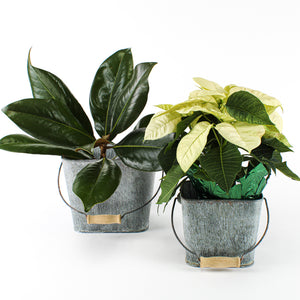flower shop buckets 6 5 5 square set of two