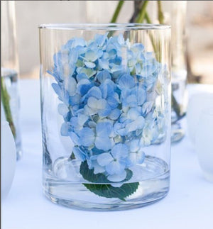 Eastland Wide Cylinder Vase 6" x 8" Set of 2