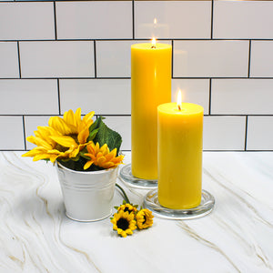Eastland Glass Pillar Plate Round 4” Set of 36