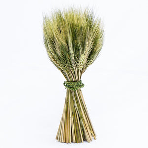 richland preserved stand up wheat bundle