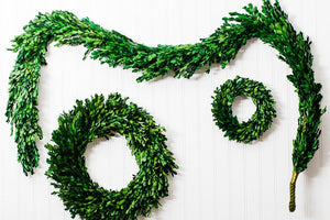 richland preserved boxwood garland 70 set of 4