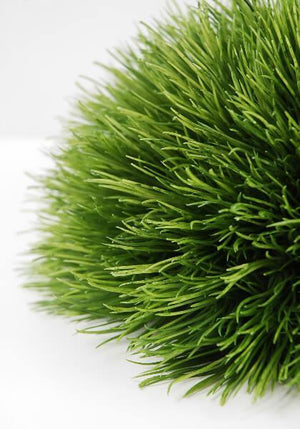 Artificial Grass Mound  9in