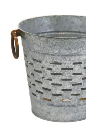 turkish olive harvest bin 12