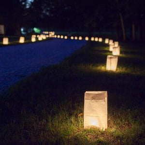 eastland white luminary bags only set of 500
