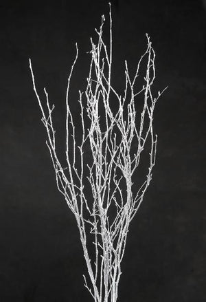 silver birch tree branches 3 4 ft 4 branches